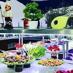 Club Dedeman Bodrum
