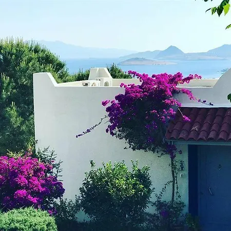 Club Dedeman Bodrum Курортный комплекс 2*